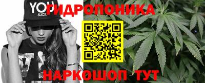 ешки Можга