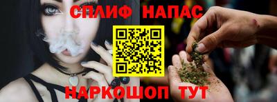 ешки Можга